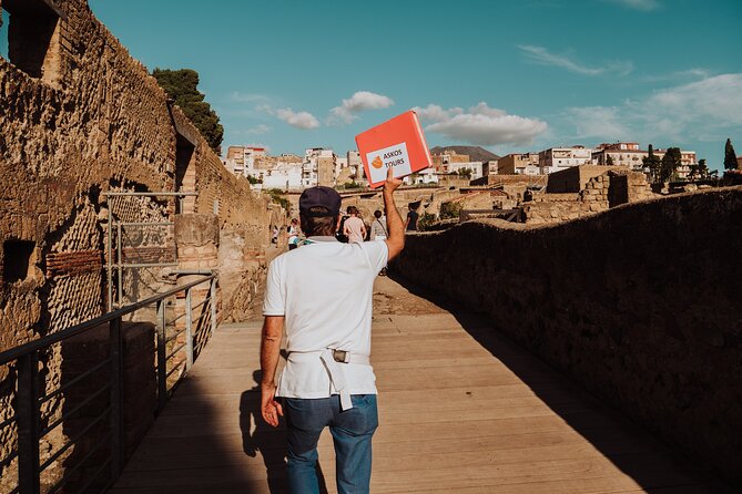 Herculaneum Small Group Tour and Ticket With an Archaeologist - Ratings and Reviews