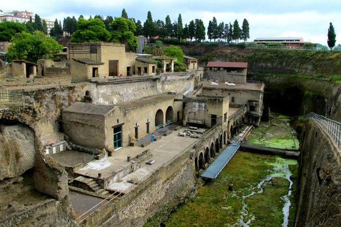Herculaneum Walking Tour With a Professional Guide - Meeting and Pickup