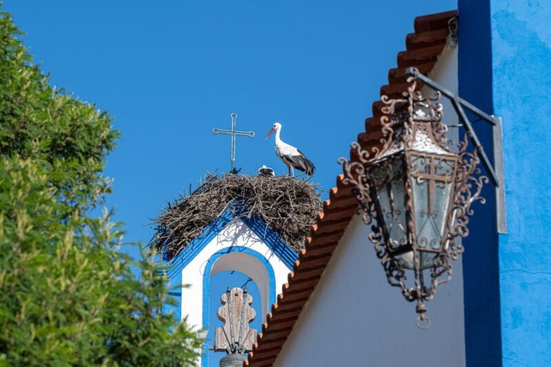 Herdade Da Comporta Winetasting - Accessibility and Cancellation