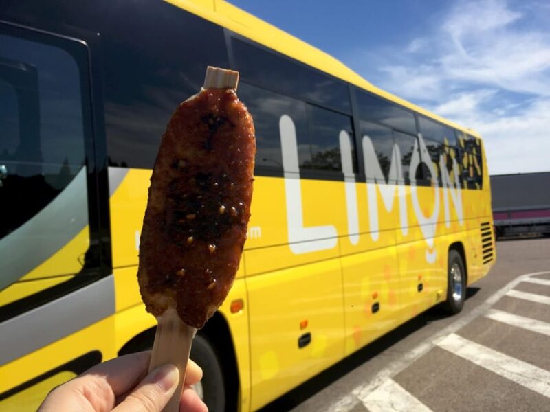 Heritage Bus From Takayama to Tokyo via Mt.Fuji 5 Station - Stops and Attractions