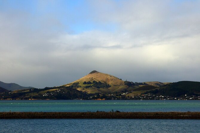 Heritage City and Larnach Castle Van Tour With Historian Guide - Knowledgeable and Engaging Historian Guide