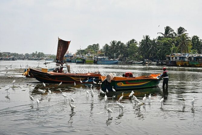 Heritage & Cultural Walk Around Negombo - Boat Ride Through Mangroves