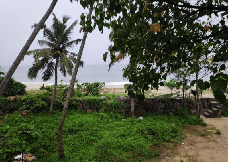 Heritage & Cultural Walk of Alleppey - Guided Walking Tour - Key Points