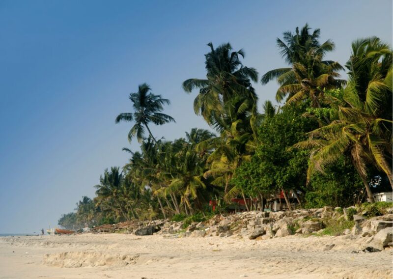 Heritage & Cultural Walk of Alleppey - Guided Walking Tour - Important Information
