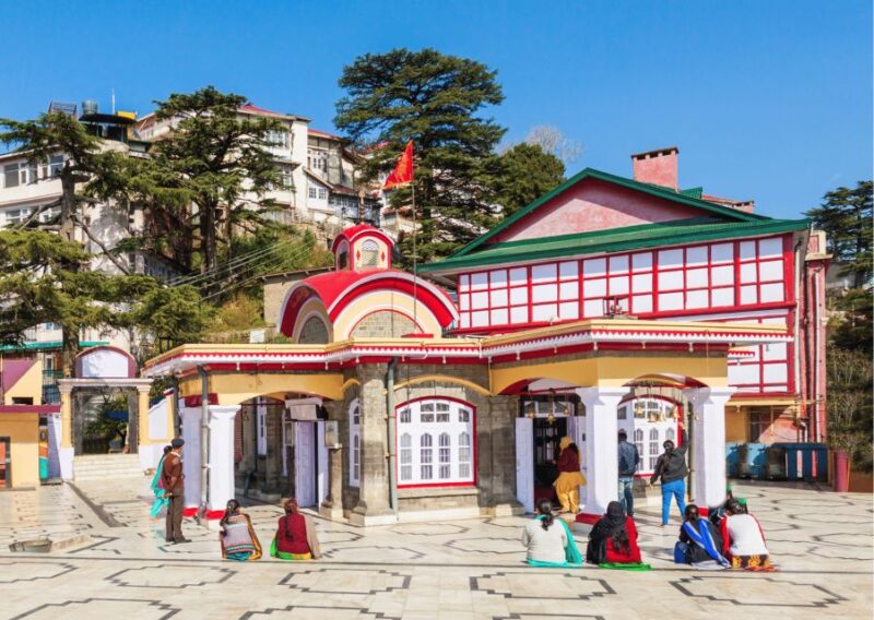 Heritage & Cultural Walking Tour Shimla -Guided Walking Tour - Customer Feedback