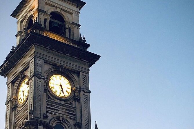 Heritage Dunedin City Walking Guided Tour - Tour Details