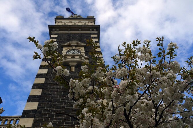 Heritage Dunedin City Walking Guided Tour - Meeting Point and Accessibility