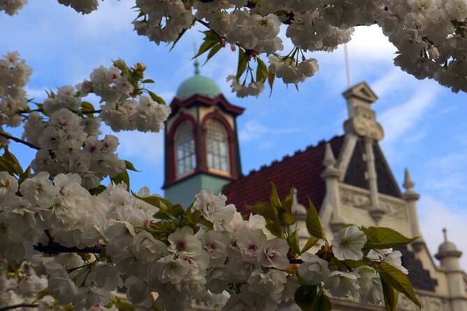 Heritage Dunedin City Walking Guided Tour - Exploring Dunedins History and Architecture