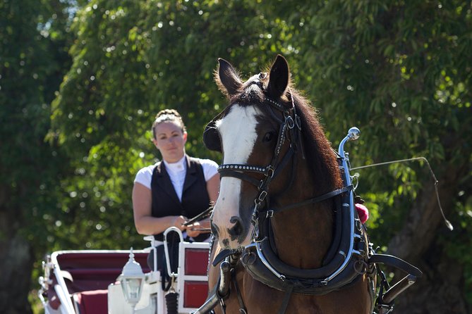 Heritage Horse-Drawn Carriage Experience in Victoria - Exploring James Bay Neighborhood