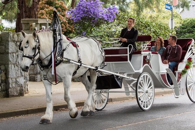 Heritage Horse-Drawn Carriage Experience in Victoria - Carriage Tour Inclusions
