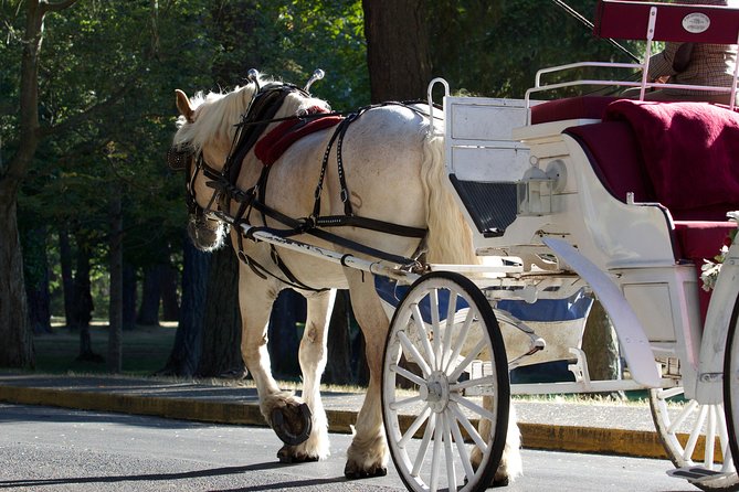 Heritage Horse-Drawn Carriage Experience in Victoria - Comfort and Convenience