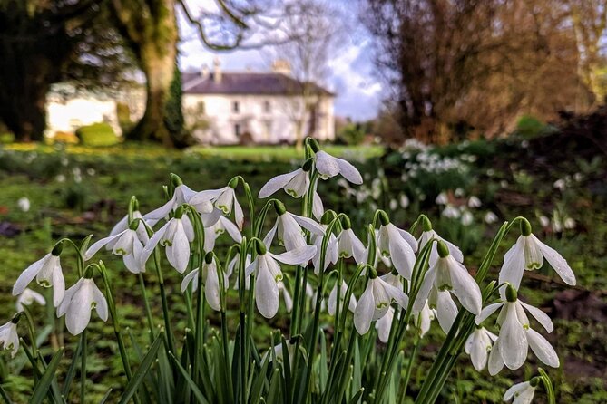Heritage Walking Trail of Rathmullan. Donegal. Private Guide. - Booking Details