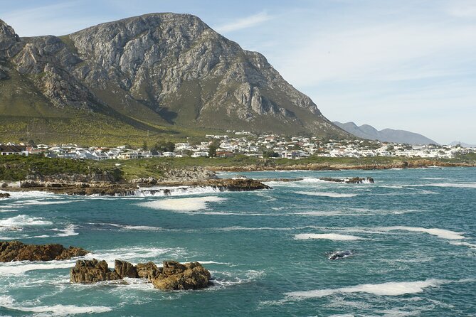 Hermanus Land Based Whale Walking Tour With Dave De Beer - Meeting and Pickup