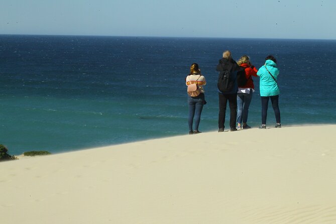 Hermanus Land Based Whale Walking Tour With Dave De Beer - Cliff Path Exploration