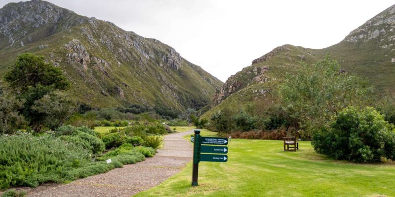 Hermanus: Private Full Day Tour - Key Points