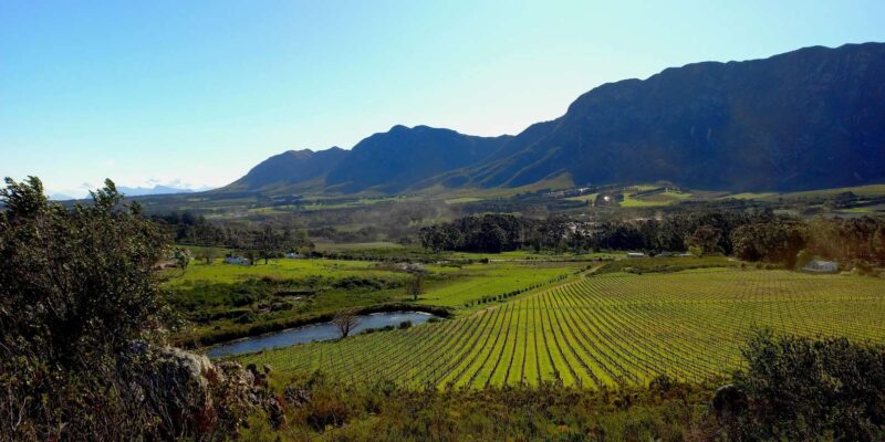 Hermanus: Private Full Day Tour - Included Services