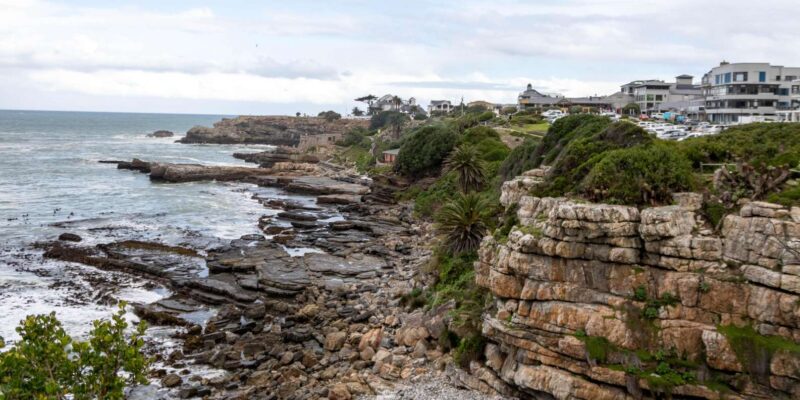 Hermanus: Private Full Day Tour - Language and Restrictions