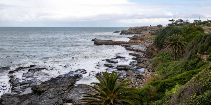 Hermanus: Private Full Day Tour - Whale Watching Opportunities