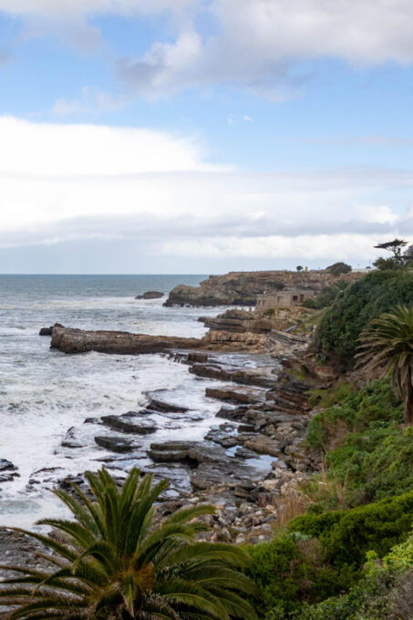 Hermanus: Private Full Day Tour - Scenic Coastal Drive