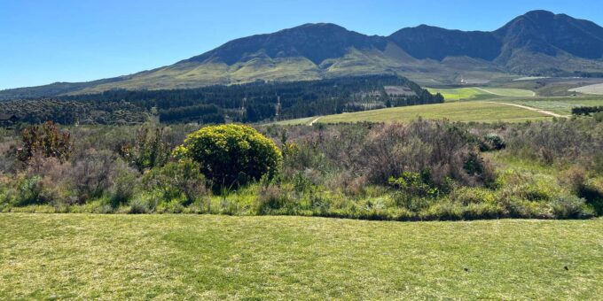 Hermanus: Private Full Day Tour - Local Art and Wine