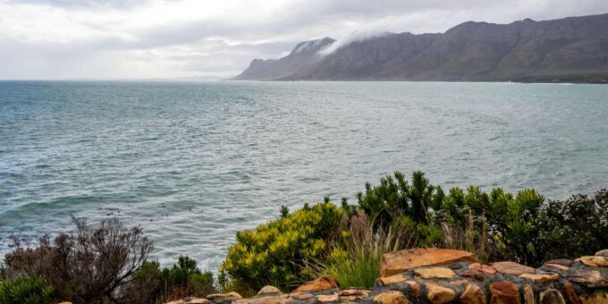 Hermanus: Private Full Day Tour - Frequently Asked Questions