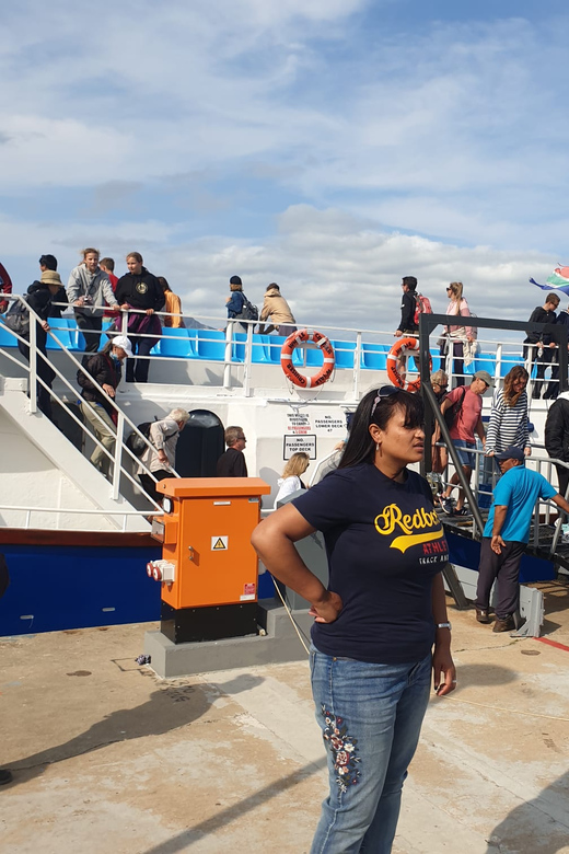 Hermanus Whale Watching Full Day Shared Tour,From Cape Town - Key Points