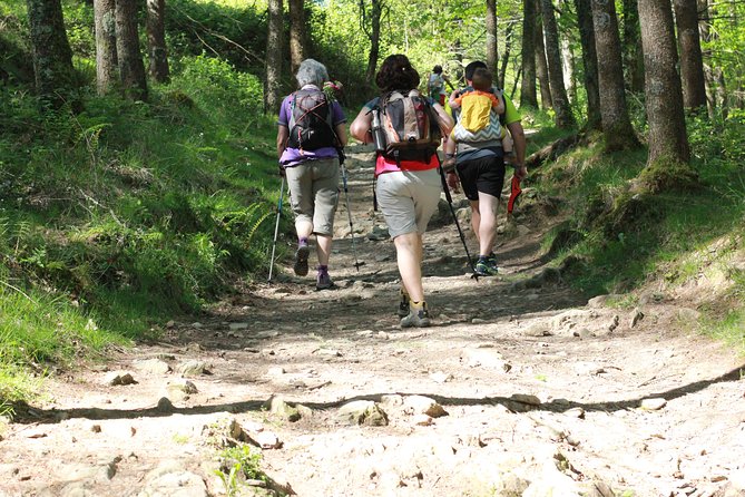 Hernio Mountain Hiking in Small Group - Booking Information