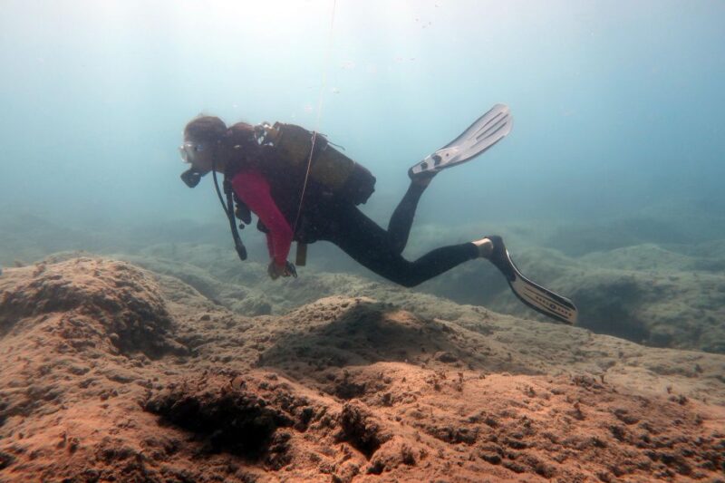 Hersonissos, Stalida: Beginner Scuba Diving Experience - Diving Equipment and Inclusions