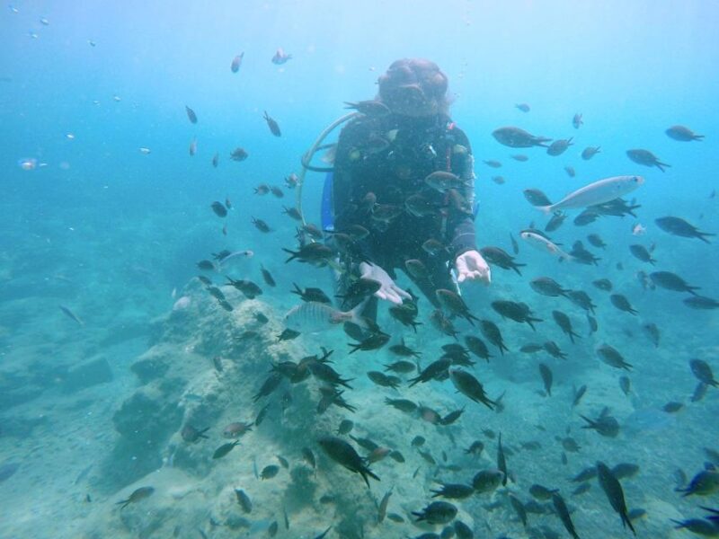 Hersonissos, Stalida: Beginner Scuba Diving Experience - Theoretical and Pool Sessions