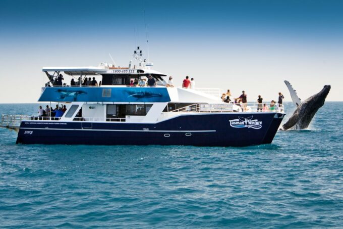 Hervey Bay 4-Hour Whale Watch Encounter - Booking and Cancellation Policy