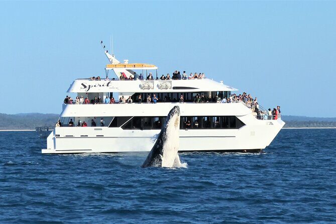 Hervey Bay Champagne Sunset Sail - The Sum Up