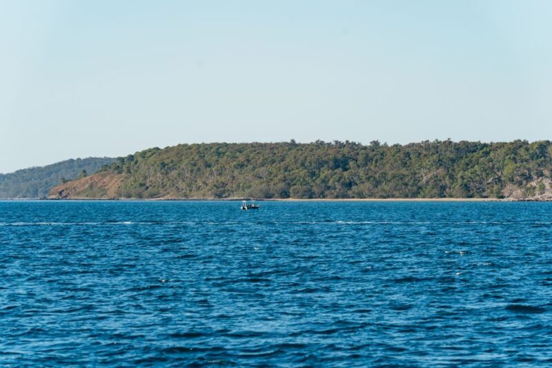 Hervey Bay: Exclusive Whale Watch Encounter - Restrictions and Requirements