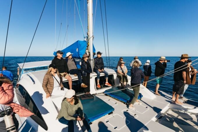 Hervey Bay: Exclusive Whale Watch Encounter - Booking and Pricing Details