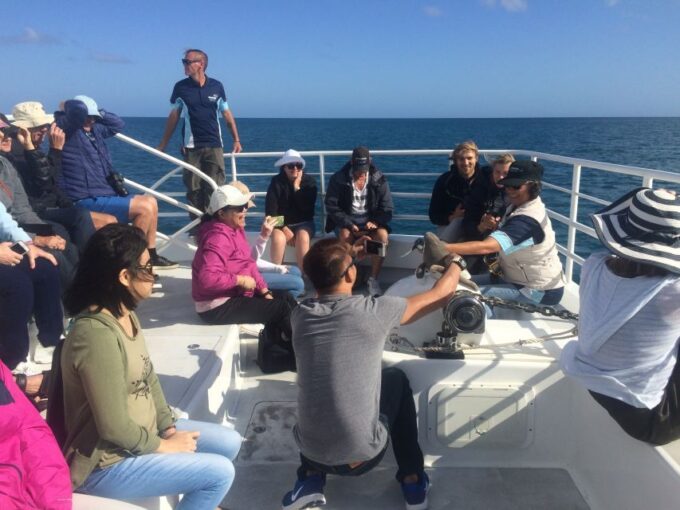 Hervey Bay: Half-Day Whale Watching Cruise With Meal - Cruise Duration and Pricing