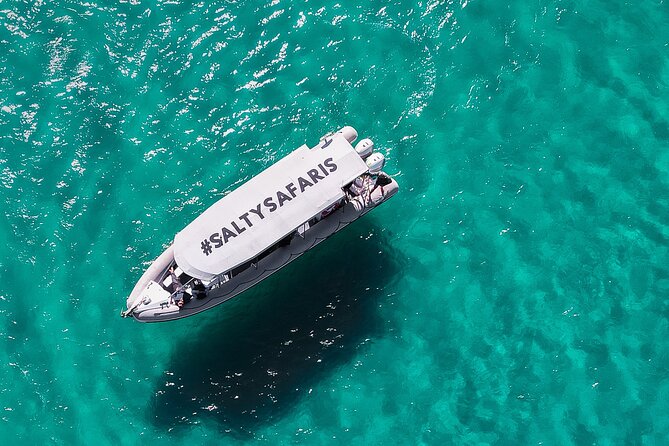 Hervey Bay: Half Day Whale Watching & Island Stop Tour - Review Summary