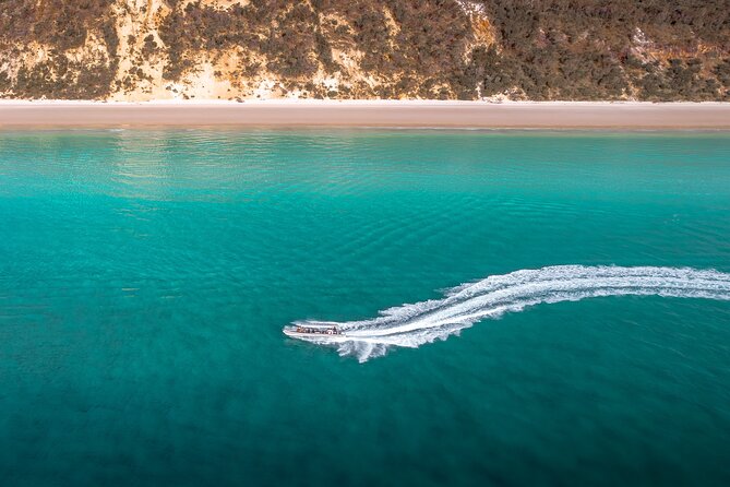 Hervey Bay: Half Day Whale Watching & Island Stop Tour - Tour Highlights