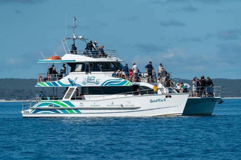 Hervey Bay: Humpback Whale-Watching Half-Day Cruise - What Makes This Tour Stand Out?