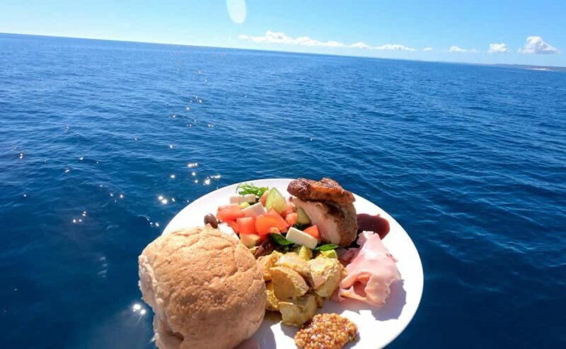 Hervey Bay: Pre-season Whale and Dolphin Watching Cruise - Practical Details and What to Bring