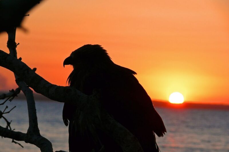 Hervey Bay: Relaxing Sunset Cruise With Champagne and Prawns - Booking and Cancellation Policy