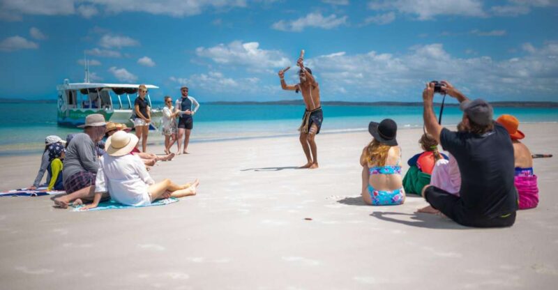 Hervey Bay: Turtle Discovery Eco Tour - Pricing and Duration