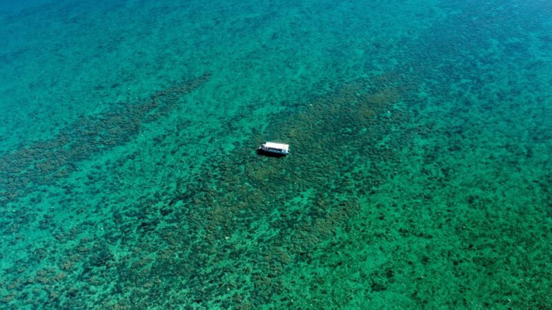Hervey Bay: Turtle Discovery Eco Tour - Onboard Amenities