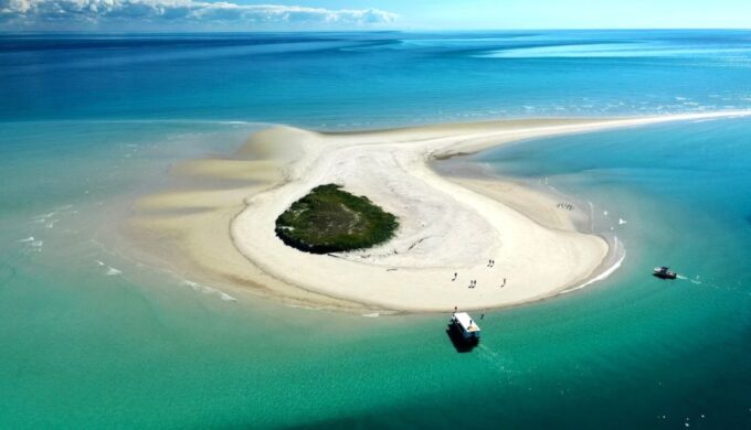 Hervey Bay: Turtle Discovery Eco Tour - Recap