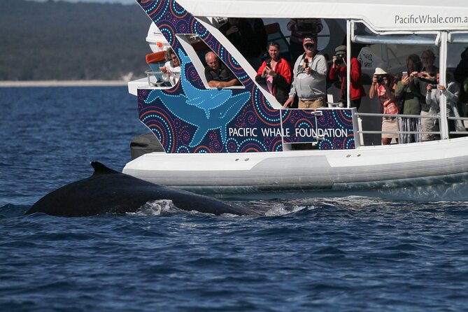Hervey Bay Ultimate Whale Watching Cruise - Inclusions and Exclusions