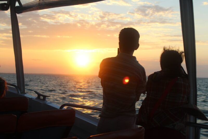 Hervey Bay: Ultimate Whale Watching Experience - Key Points