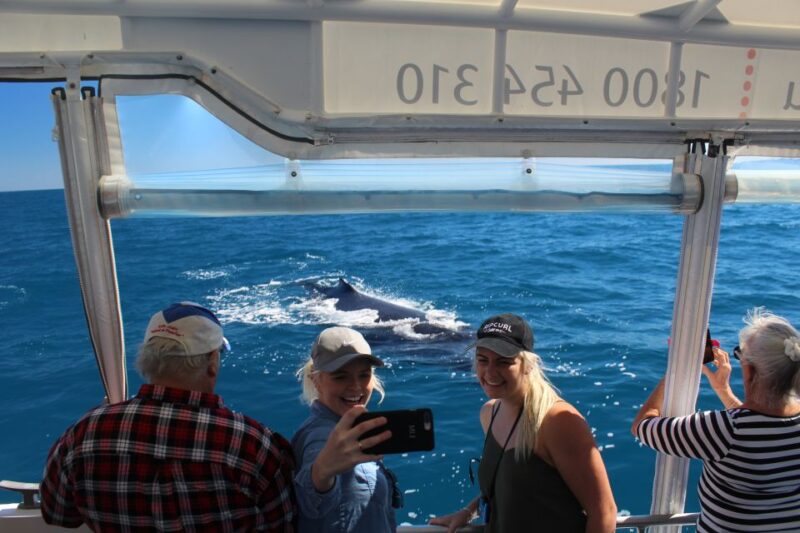 Hervey Bay: Ultimate Whale Watching Experience - Onboard Experience