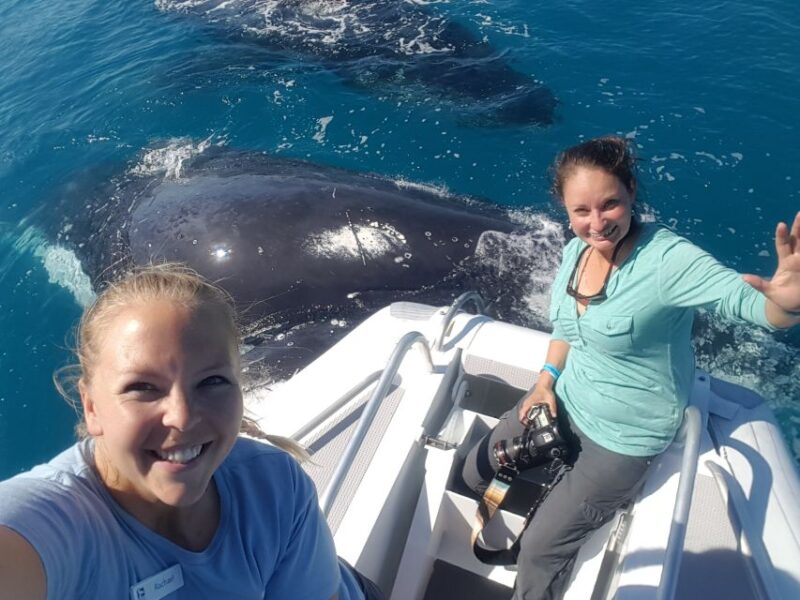 Hervey Bay: Ultimate Whale Watching Experience - Health and Safety Protocols