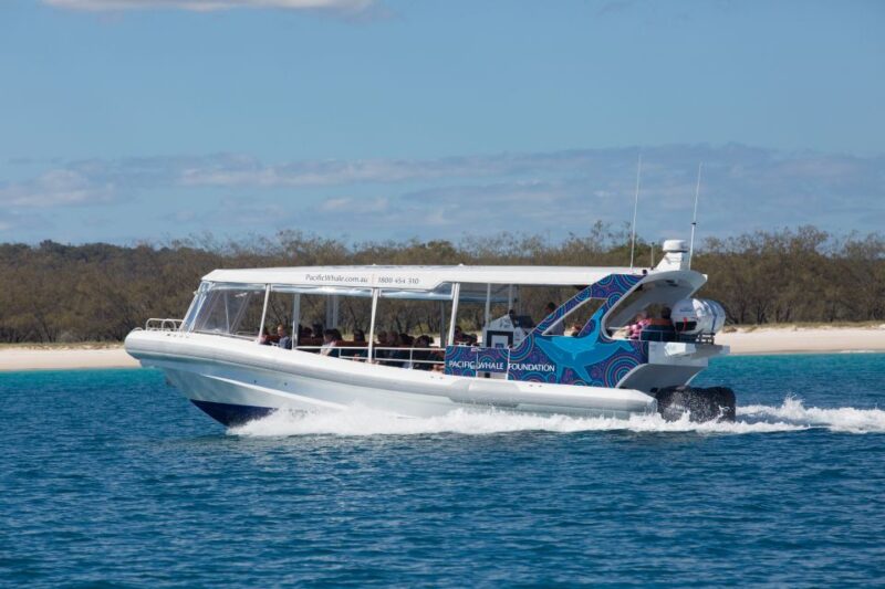 Hervey Bay: Ultimate Whale Watching Experience - Customer Feedback and Ratings