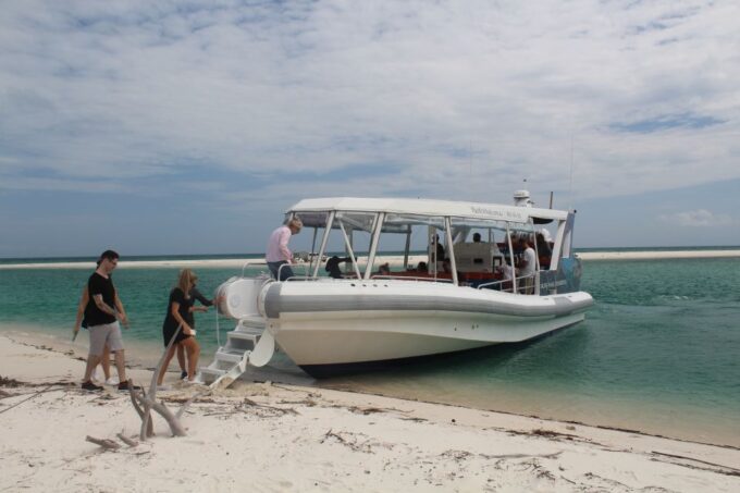 Hervey Bay: Ultimate Whale Watching Experience - Small-Group Eco-Friendly Adventure