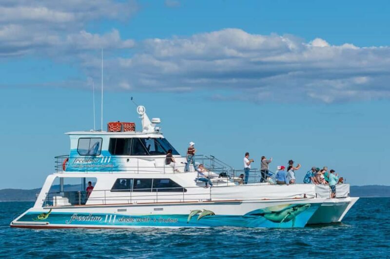 Hervey Bay Whale Odyssey Cruise - Comfort and Amenities Onboard
