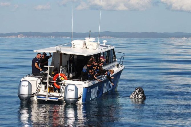 Hervey Bay Whale Swim and Watch - Cancellation Policy